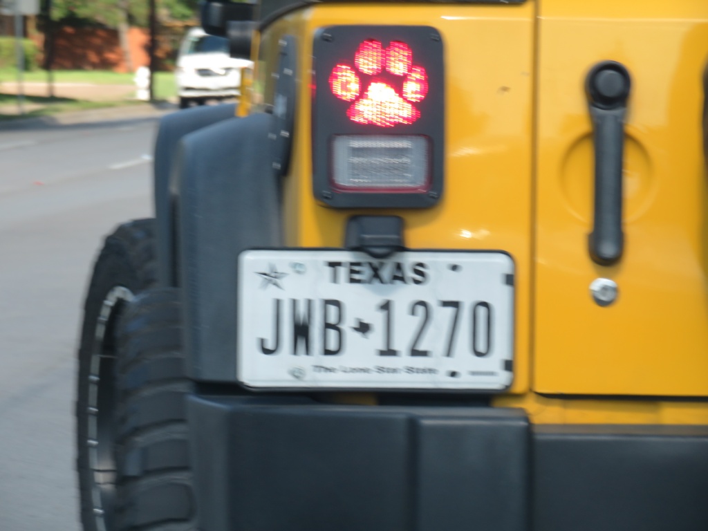 14F1B034QWK6MBKFP3FESo.JPG