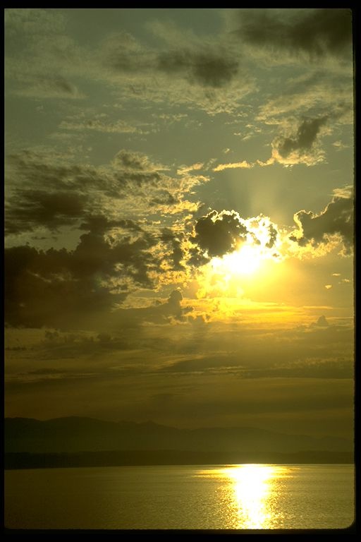 1ONYTC8OKN435BZFOV446o.jpg