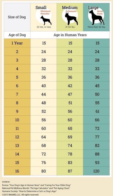 1Y60BE3D1TO2HDB9EYIMQo.JPG