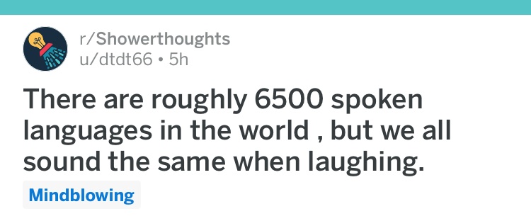 2LIBKPINJQ4H32KKWDDHIo.JPG