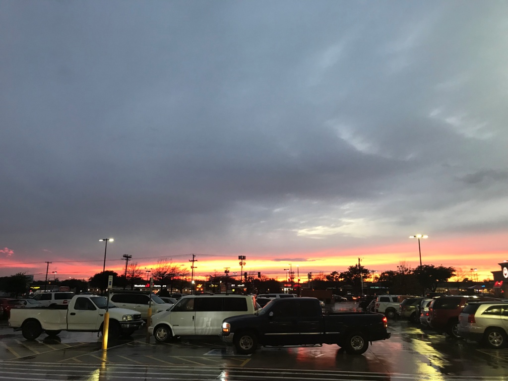 3958NZ2FX3N8IL8NNE5TNo.JPG