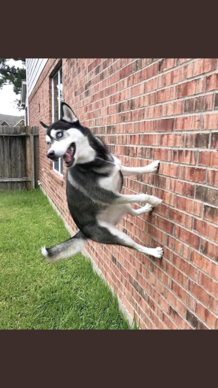 49MJZL68SN0GH5USQQDR4o.JPG