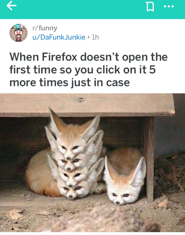 4YM3S9NFH4PPH29F4HUK1o.JPG