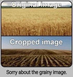 5S1JDD6GNPKKH1YDG7Y6Go.JPG