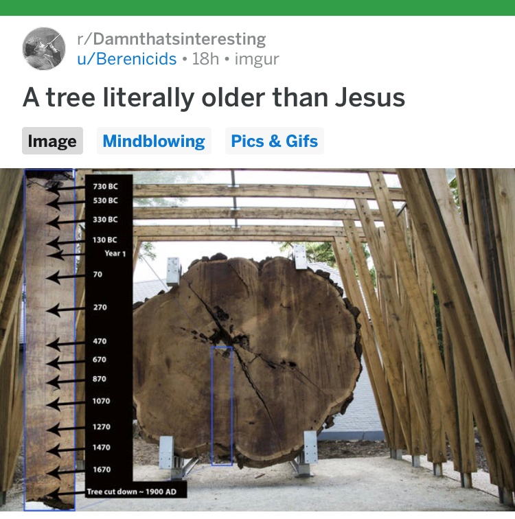 6IV4IF5T85UN0VC1VSFNKo.JPG