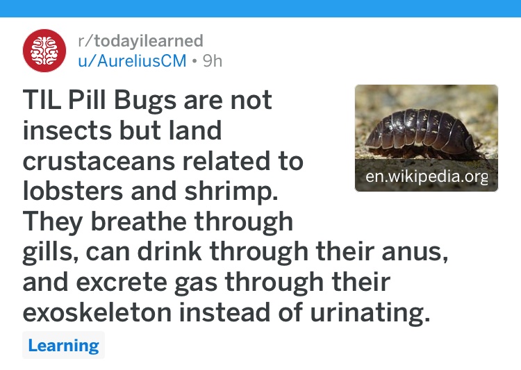 6JEM5CKA54U7Q1A458VW0o.JPG