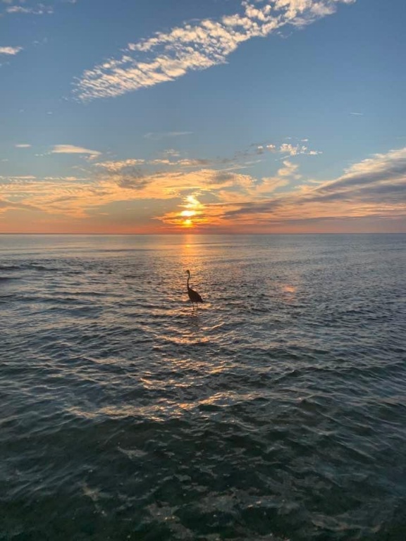 7SMRETX50IFMSCJTJSHXAo.JPG