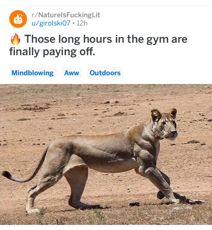 A7TCEFCU3D5Z7P66MSGJ2o.JPG