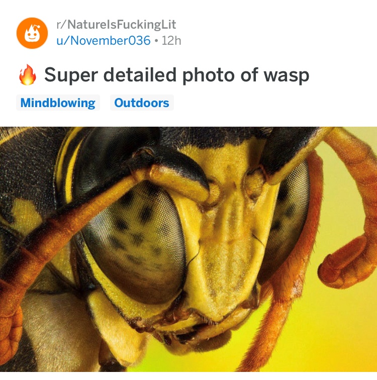 ABAU2XILOEUG5KW3H8GFUo.JPG