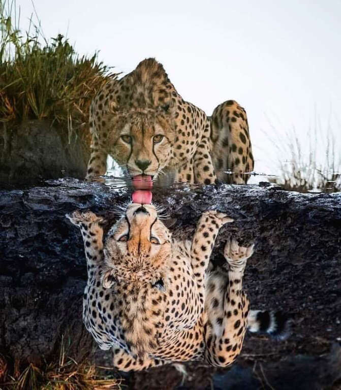 AKKG23Y2GLCBYQHHYDSVGo.PNG