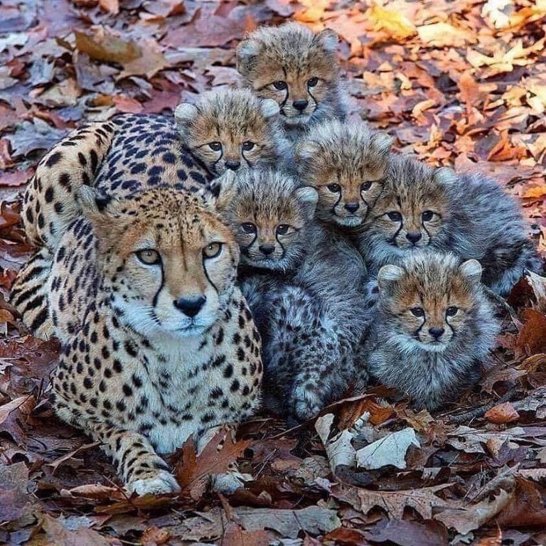 AW6CLT6PJMDVPX8WJ73P4o.JPG