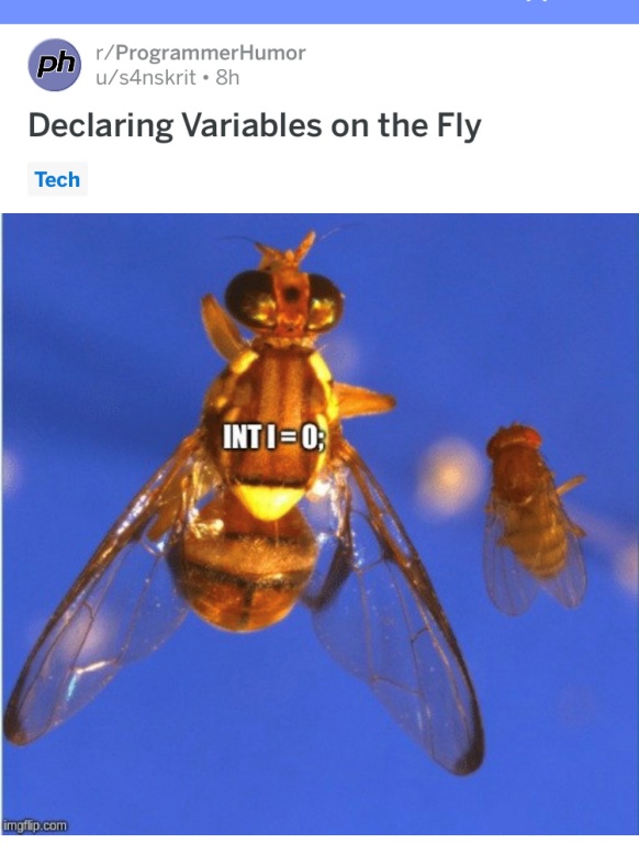 E3CVRULTVJJ9K360375WXo.jpg