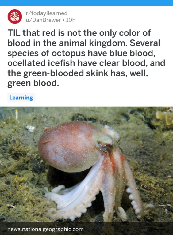 FLLAVQTL7BSV6A790DXTTo.JPG