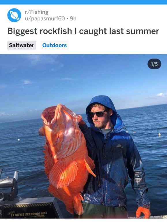 FOFLI1QNBRHBFZC5F5PLBo.JPG
