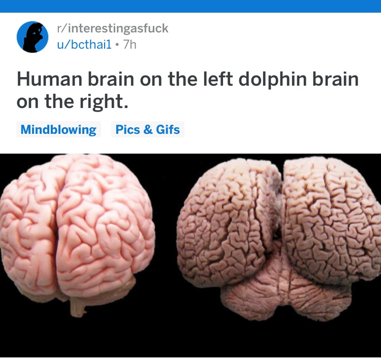 IO0RDTSZQP3CBLAETHHL6o.JPG