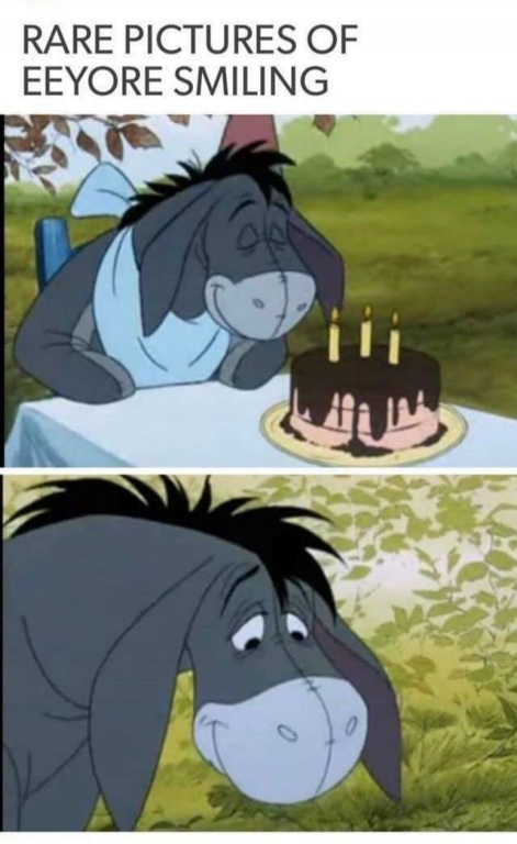 K4I0QYBUPJ8ZGP7N14OIWo.JPG