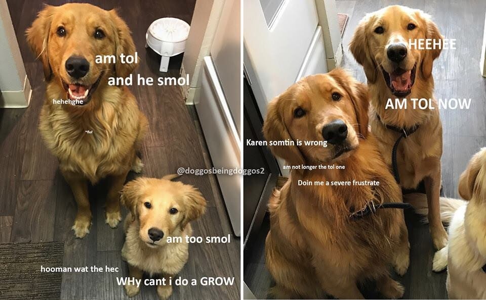 L0U6D5WH6RFRDJ12XMN6Jo.JPG