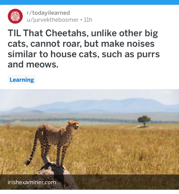 L2G9WY7DFU6RCTP9W8J6Eo.JPG