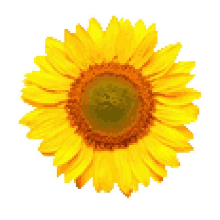LWK9UZZYAX9OJ3VSF2BDBo.JPG