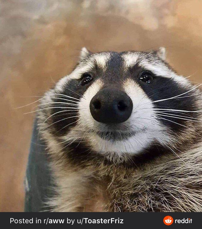 MHWEQRPVLGU4MQXS4PGQQo.JPG