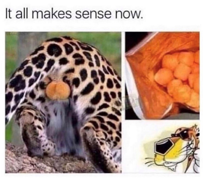 MKL3CKV7W61TLKHZQ61C6o.JPG