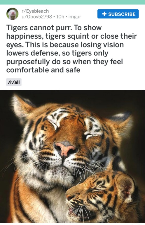 NO15MBNJT7BL5CC8ZJ8HUo.JPG
