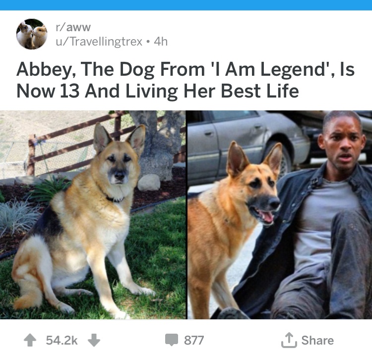 NVK9N9SARDKNB85LAXAUNo.JPG