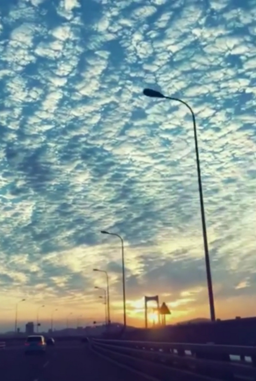 OQ890VHLZVTHA25B15QDAo.PNG