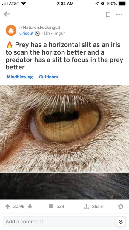 PU7DXT41VRC43BPLZRSW1o.PNG
