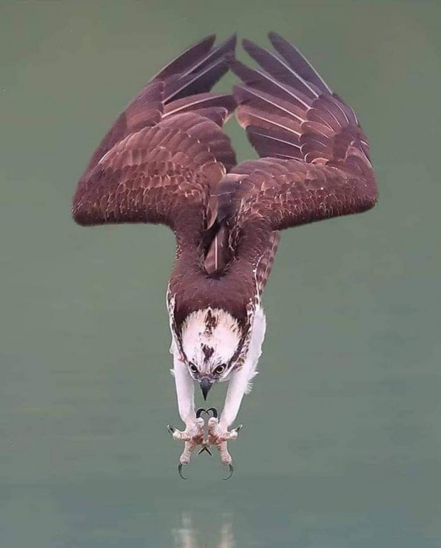 RWK2KJKTG3MJQW9F36OGEo.JPG