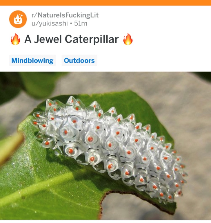 ST16VCVERJ7K3O3BURLM1o.JPG