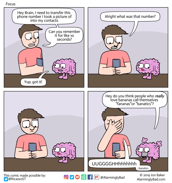 Y411BQ3MWYVH63JU3ZQUJo.JPG