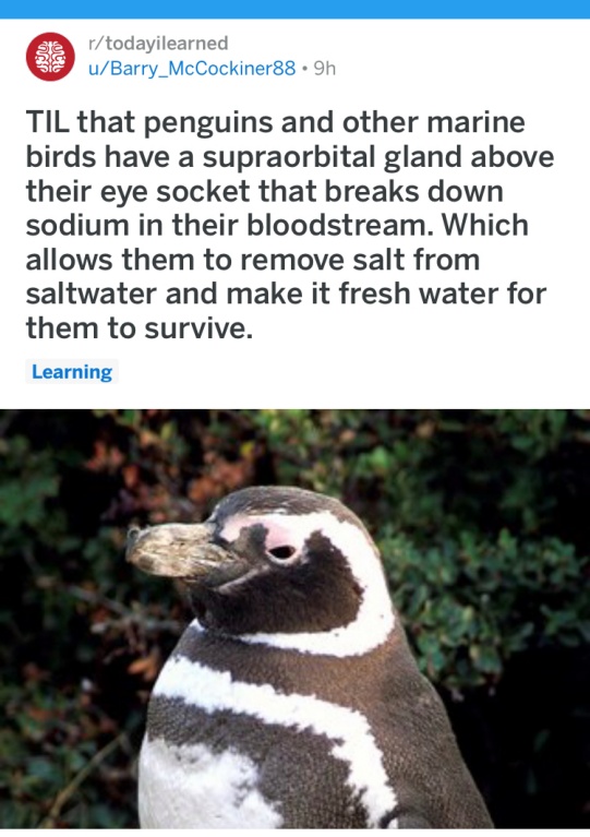 ZVMT7VRSYHRZMSIER2WA1o.JPG